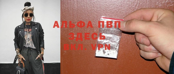 ПСИЛОЦИБИНОВЫЕ ГРИБЫ Новозыбков