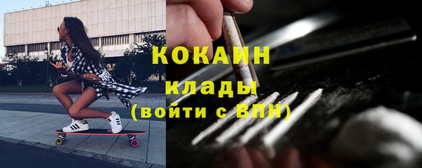 стаф Алексин