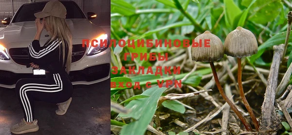 стаф Алексин